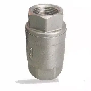 API 602 Vertical Check Valve, SS 316, 2 Inch, 300 LB, NPT