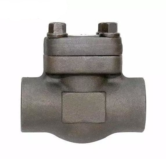 Swing Lift Check Valve, Alloy N08020, 1/2-2 Inch, 800-2500 LB