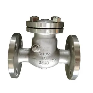 SS 310S Check Valve, DIN 3352, PN16, DN32, ASTM A351 CF3, CF8M