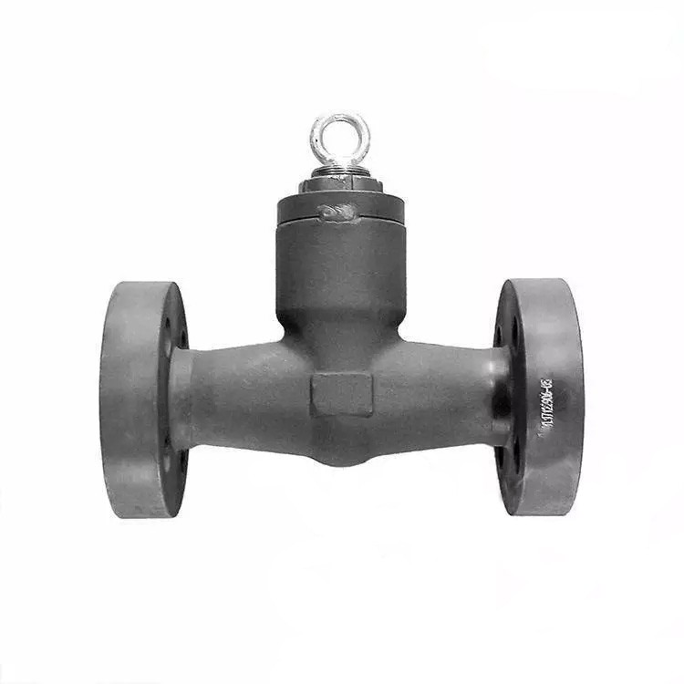 Pressure Seal Bonnet Check Valve, ASTM A105N, 1 IN, 2500 LB - Weldon