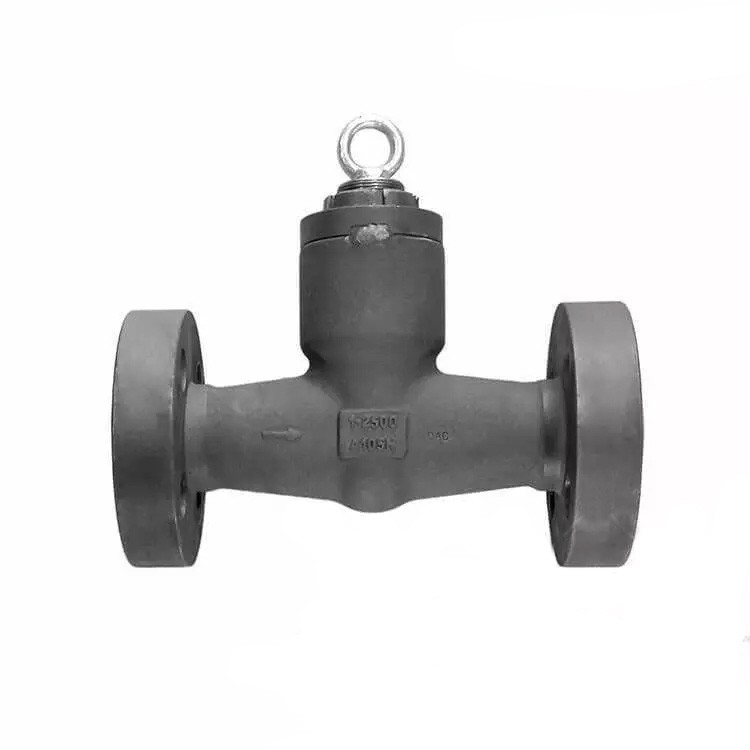 Pressure Seal Bonnet Check Valve, ASTM A105N, 1 Inch, 2500 LB