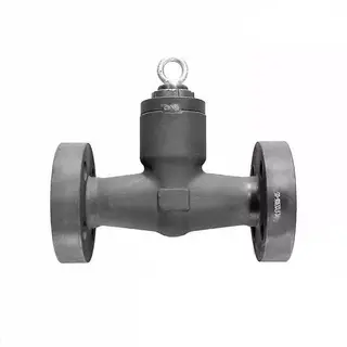 Pressure Seal Bonnet Check Valve, ASTM A105N, 1 IN, 2500 LB