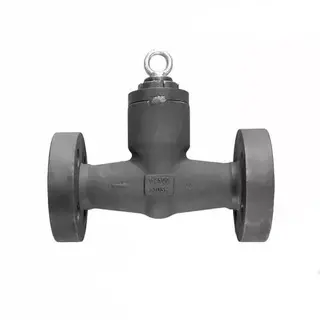 Pressure Seal Bonnet Check Valve, ASTM A105N, 1 Inch, 2500 LB