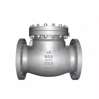 Pressure Seal Bonnet Check Valve, A216 WCB, 12 Inch, 300 LB