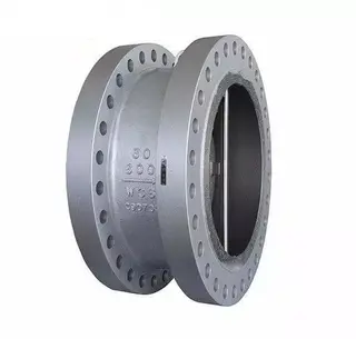 API 594 Dual Plate Check Valve, 10 Inch, Class 150-2500 LB