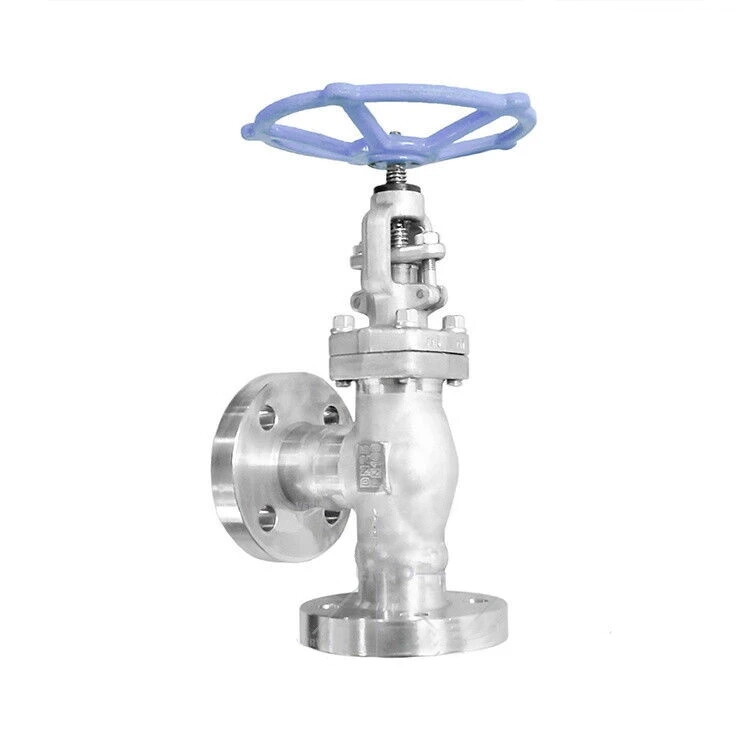 API 602 Globe Control Valve, ASTM A182 F316, 1 Inch, 600 LB