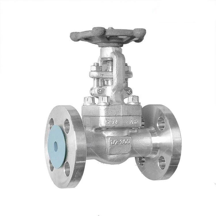 BS 5352 Globe Control Valve, ASTM A182 F304H, 1/2 IN, 300 LB