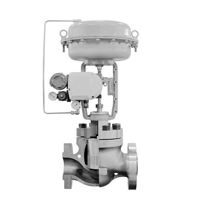 Multi-Hole Globe Control Valve, ASTM A351 CF3, 24 IN, 150 LB