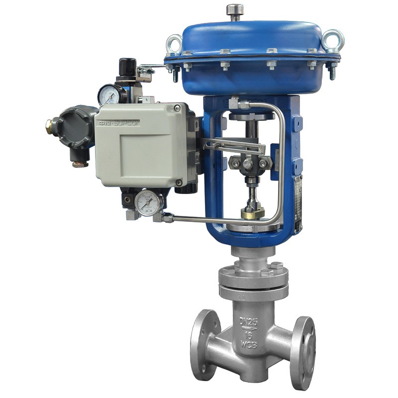 Plastic Lined Globe Control Valve, ASTM A216 WCB, DN15, PN16