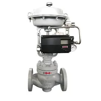 Pneumatic Single-Seated Control Valve, A216 WCB, 2 IN, CL300