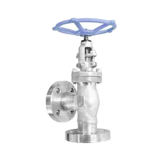 API 602 Globe Control Valve, ASTM A182 F316, 1 Inch, 600 LB