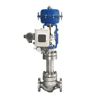 Cage Guided Single Seat Control Valve, LCB, 12 Inch, 150 LB
