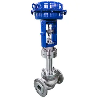 Bellows Seal Globe Control Valve, 1/2-12 Inch, 150-600 LB, CF8