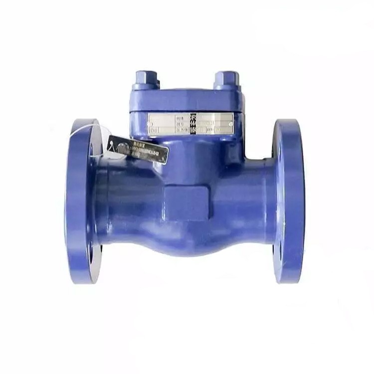 API 602 Non Return Valve, ASTM A182 F316L, 2 Inch, 150 LB