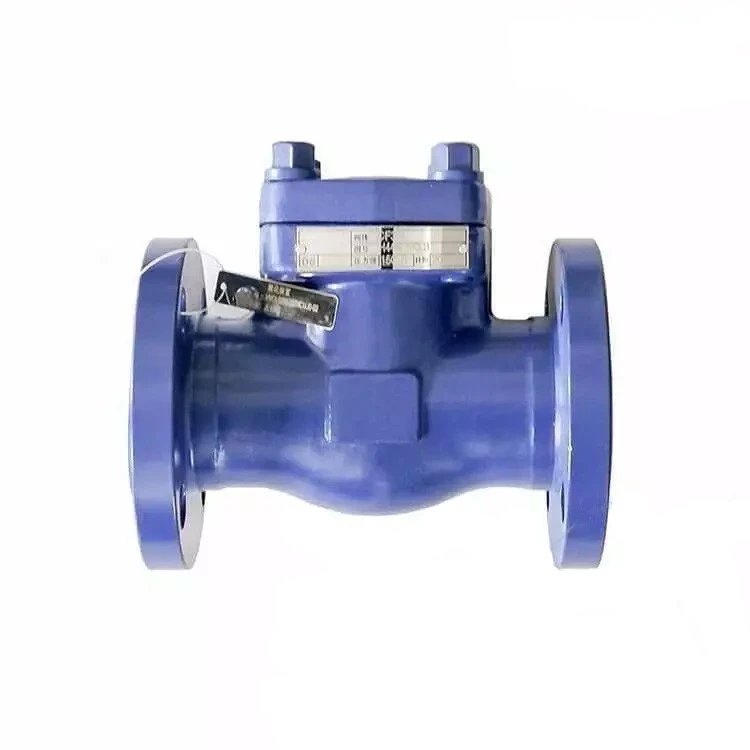 API 602 Non Return Valve, ASTM A182 F316L, 2 Inch, 150 LB - Weldon