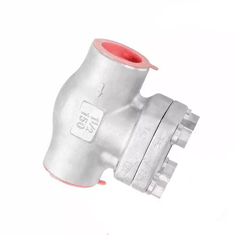 ASTM A105N Lift Check Valve, TA2 Titanium, 1 Inch, 800 LB