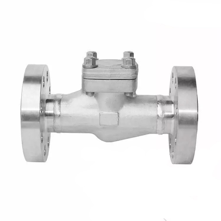 ASTM A182 F304 Piston Check Valve, API 602, 2 Inch, 2500 LB