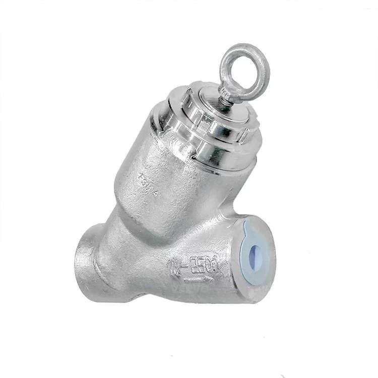 ASTM A182 F304 Piston Check Valve, Y Pattern, 1 IN, 2500 LB
