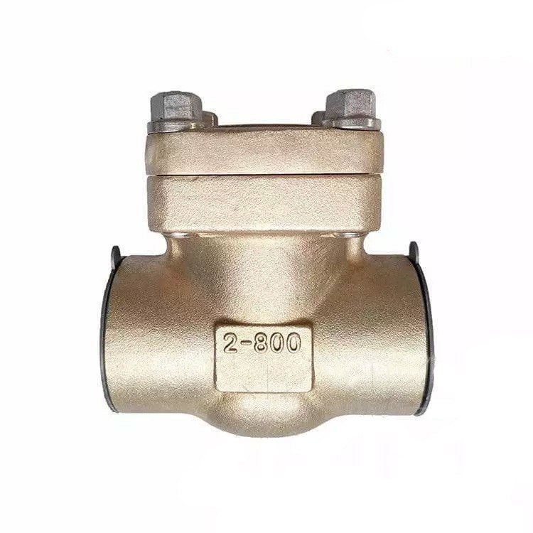 ASTM B148 C95800 Swing Check Valve, 2 Inch, 800 LB, NPT End