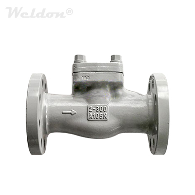 BS 5352 Check Valve, ASTM A105N, 2 Inch, Class 300, BB, Flanged End