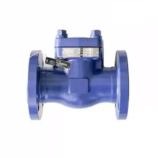 API 602 Non Return Valve, ASTM A182 F316L, 2 Inch, 150 LB