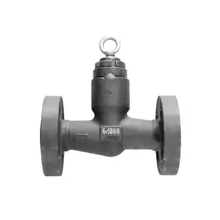 API 602 Lift Check Valve, ASTM A105N, 1 Inch, Class 1500 LB
