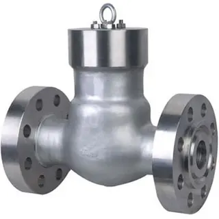 ASME B16.34 Check Valve, ASTM A350 LF6 CL.2, 2 Inch, 4500 LB