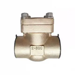 ASTM B148 C95800 Swing Check Valve, 2 Inch, 800 LB, NPT End
