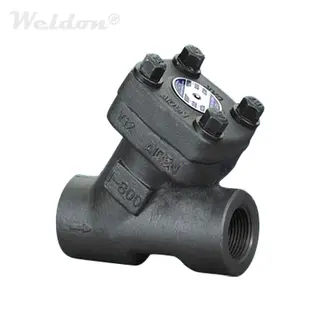 Y Type Check Valve, BB, ASTM A105N, 1 Inch, Class 800, Thread End
