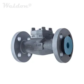 API 602 Check Valve, ASTM A350 LF2, 1 Inch, 800 LB, BB, Flanged