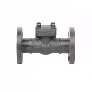 Piston Lift Non Return Valve, BS 5352, 1-1/2 Inch, 300 LB