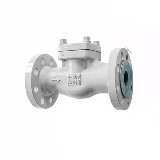 API 602 Piston Lift Check Valve, ASTM A105N, 2 Inch, 300 LB