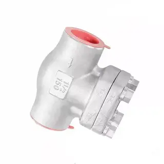 ASTM A105N Lift Check Valve, TA2 Titanium, 1 Inch, 800 LB