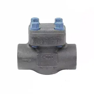 Carbon Steel Lift Check Valve, ASTM A350 LF2, 1 IN, 800 LB