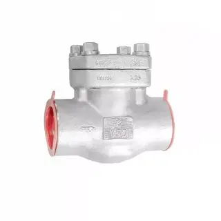 BS 5352 Lift Check Valve, Alloy N08020, 2 Inch, 150 LB, SW