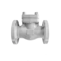 ASTM A105N Silence Sping Lift Check Valve, 2 Inch, 150 LB
