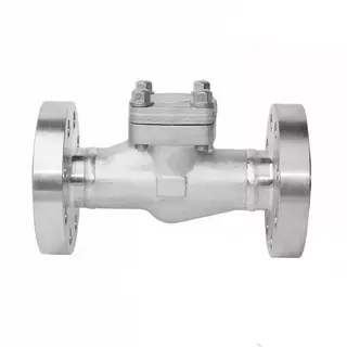 ASTM A182 F304 Piston Check Valve, API 602, 2 Inch, 2500 LB