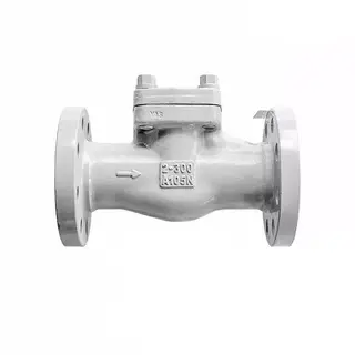 BS 5352 Lift Check Valve, ASTM A105N, 2 Inch, Class 300 LB