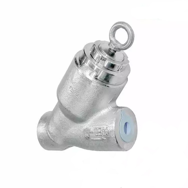 Y Type Check Valve, ASTM A182 F304, API 602, 1 Inch, 2500 LB