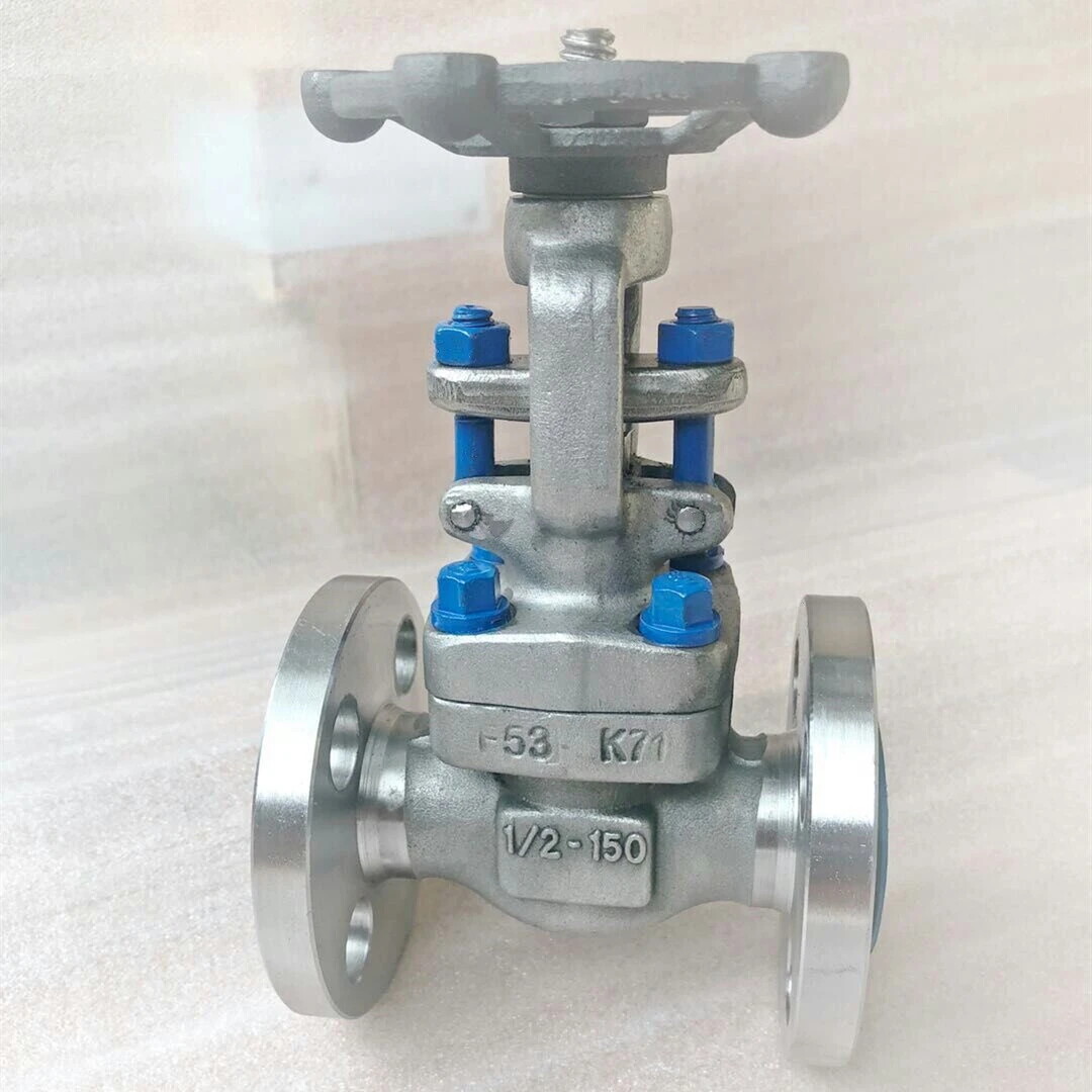 API 602 Gate Valve, ASTM A182 F53, 1/2 Inch, 150 LB, RF End