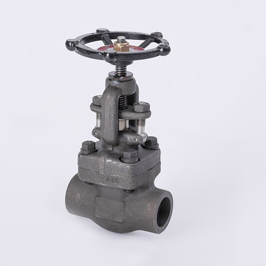 ASME B16.34 Gate Valve, ASTM A350 LF6 CL 2, 4500 LB, 3/4 Inch