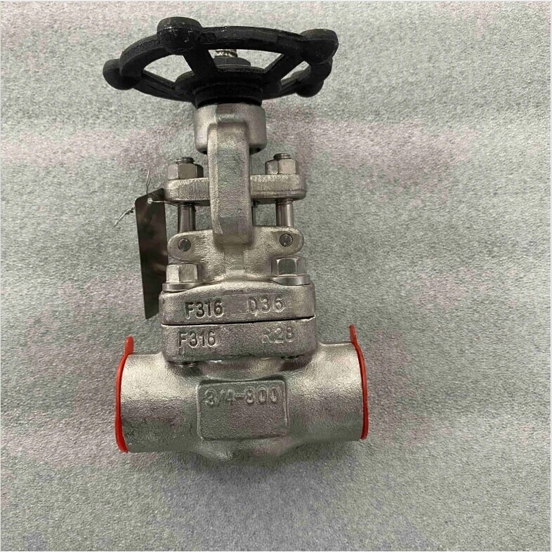 Bolted Bonnet Gate Valve, ASTM A182 F316, 3/4 Inch, 800 LB