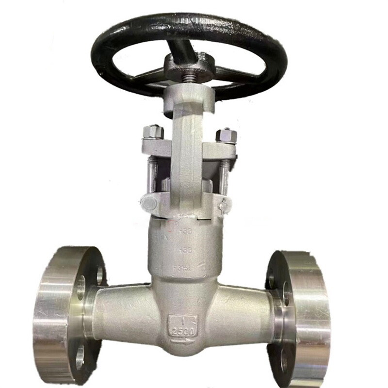 Bolted Bonnet Gate Valve, ASTM A182 F316L, 1 Inch, 2500 LB
