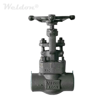 NPT Forged Gate Valve, 3/4 Inch, ASTM A105N, 1500 LB, BB, API 602