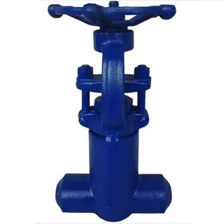 ASTM A182 F22 Gate Valve, API 602, Reduce Bore, 1 IN, 2500 LB