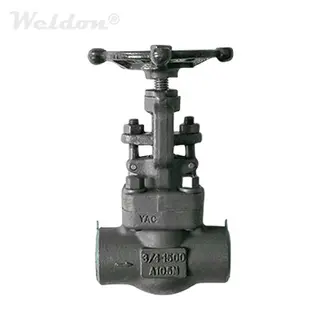 NPT Forged Gate Valve, 3/4 Inch, ASTM A105N, 1500 LB, BB, API 602