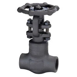 ASTM A350 LF6 Class 2 Gate Valve, ASME B16.34, 1 IN, 4500 LB