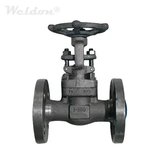 ASTM A182 F5 Gate Valve, Rising Stem, 1 Inch, 300 LB, API 602, RF