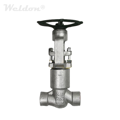 A182 F316H Globe Valve, PSB, Rising Stem, 3/4 Inch, 2500 LB, SW