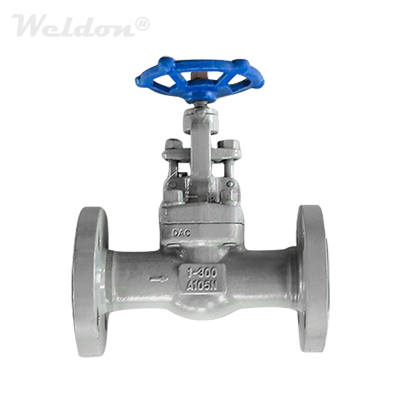 API 602 Forged Globe Valve, ASTM A105N, 1 Inch, 300 LB, Integral RF
